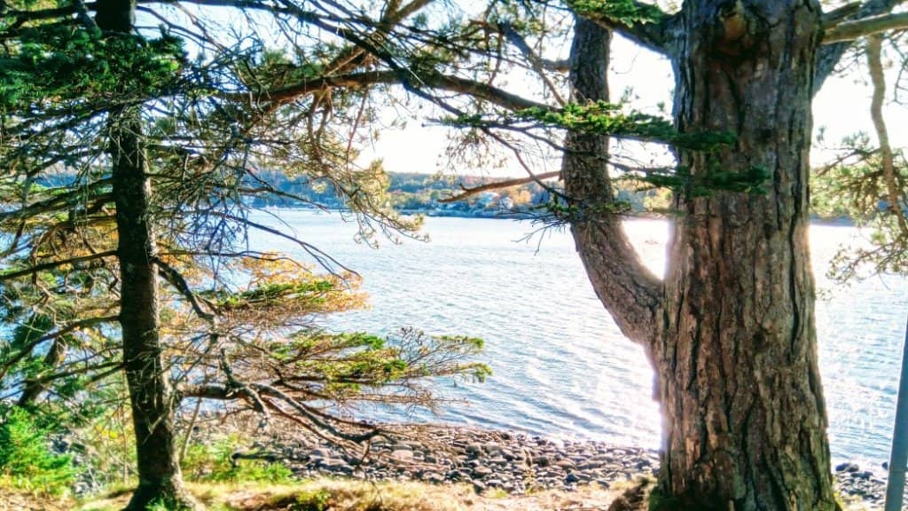 Coastal Trails