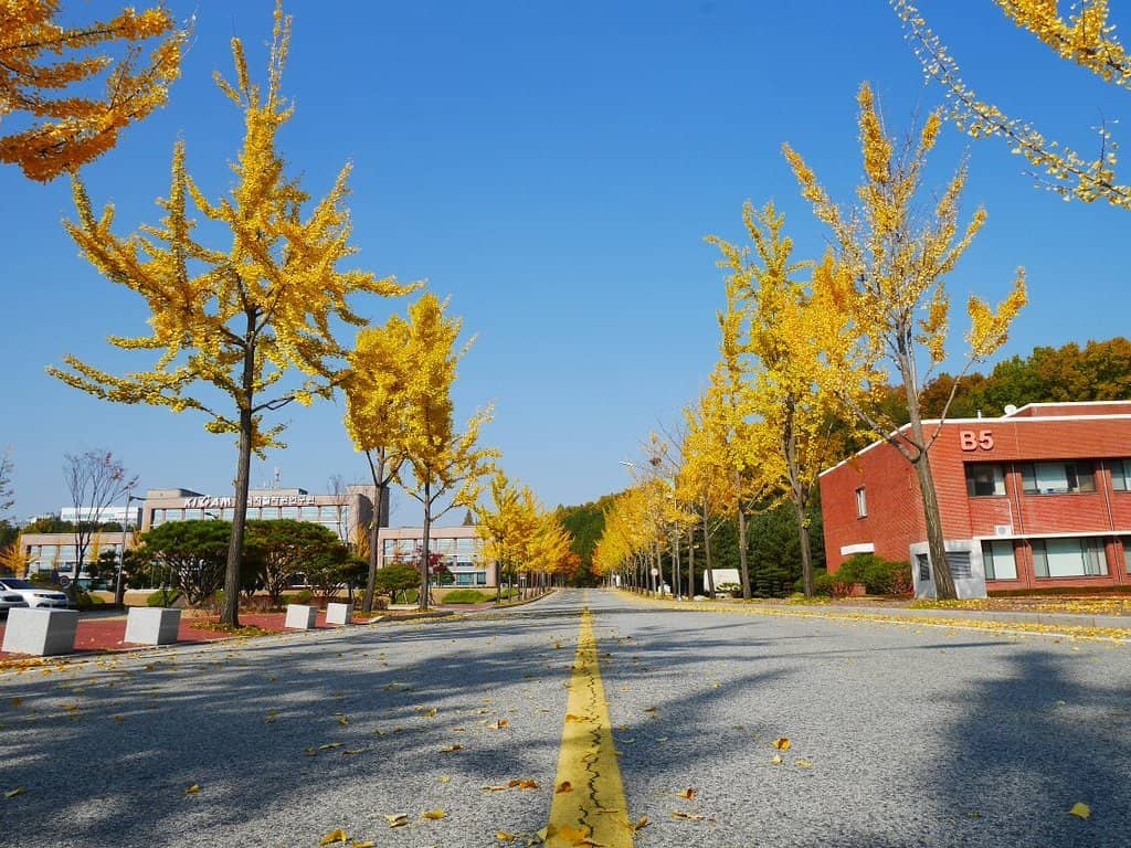 Metals and Minerals Exhibits