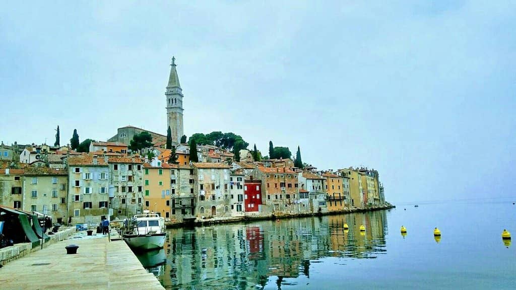 Adriatic Marine Life