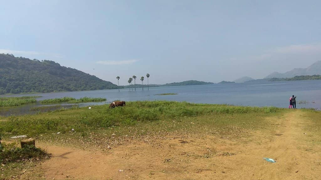 Lush Monsoon Scenery