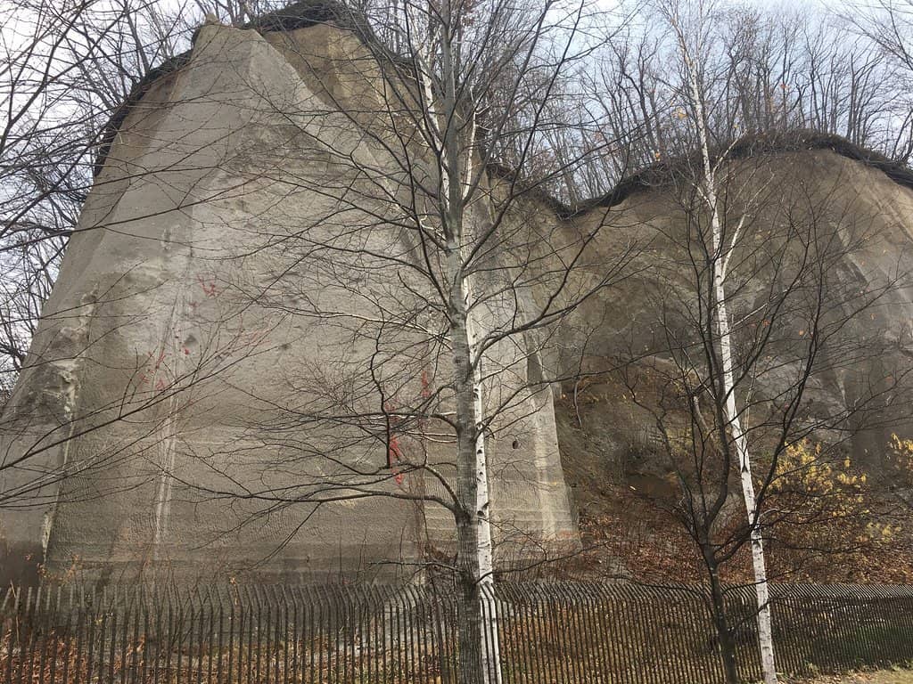 Fall Foliage