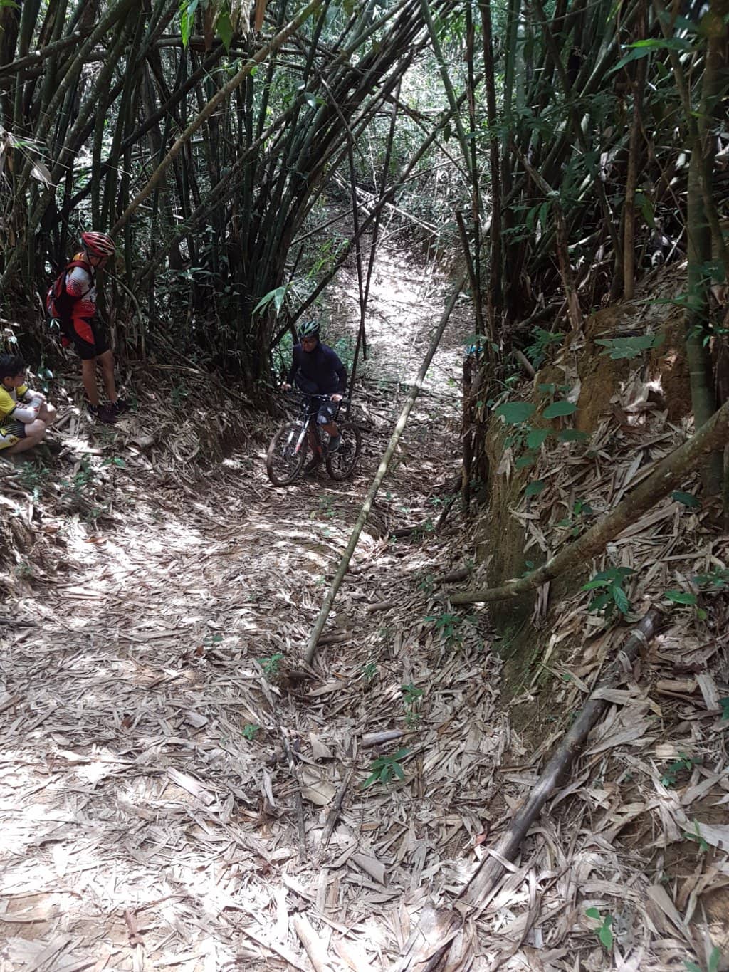 Cliff Jumping Thrills