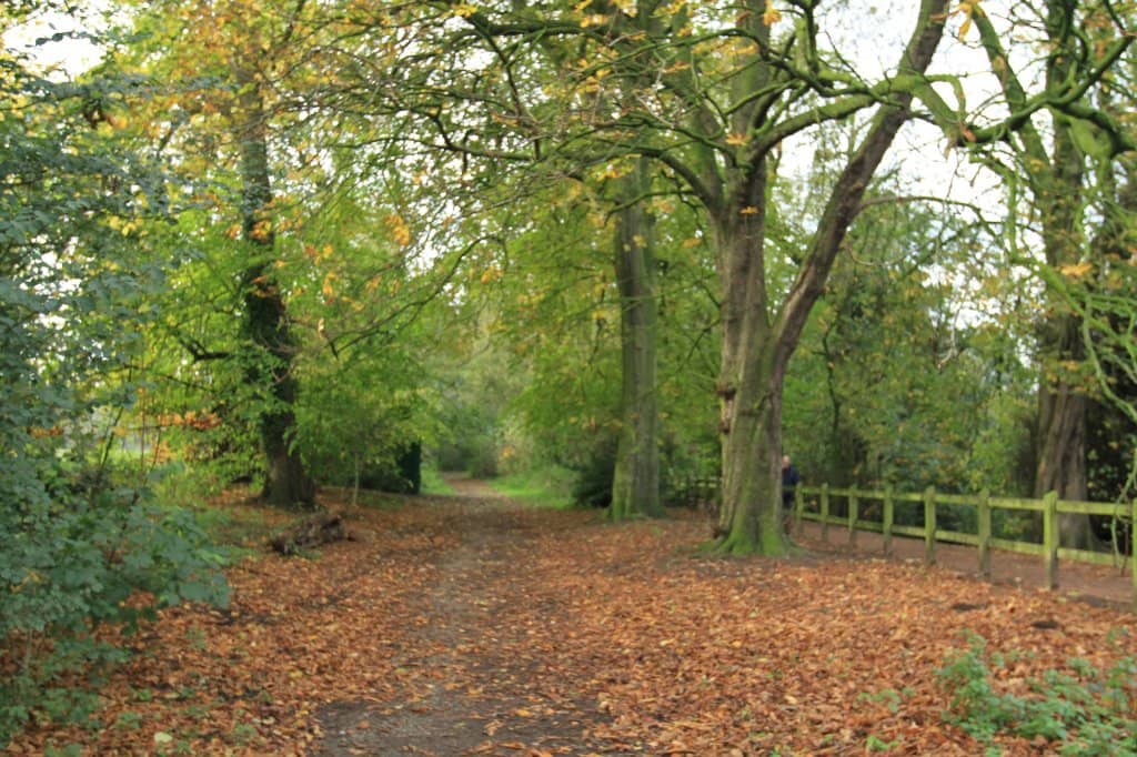 Bridgewater Canal Towpath