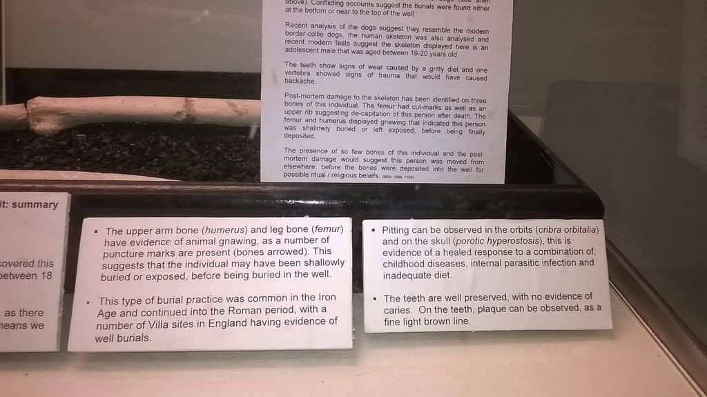 Artefacts and Displays