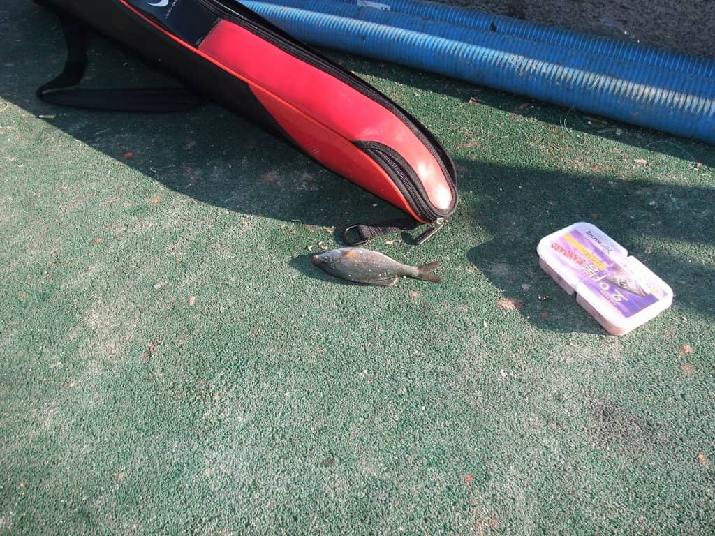 Amnam Park Coastal Trails