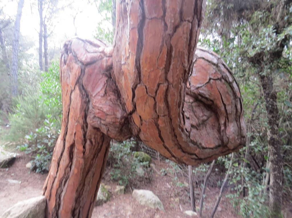 Picnic Spots & Ruins