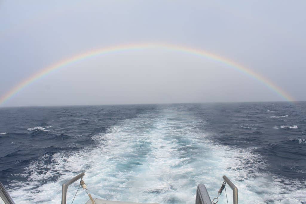 Vibrant Underwater World