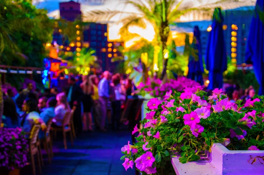 Creative Frozen Drinks