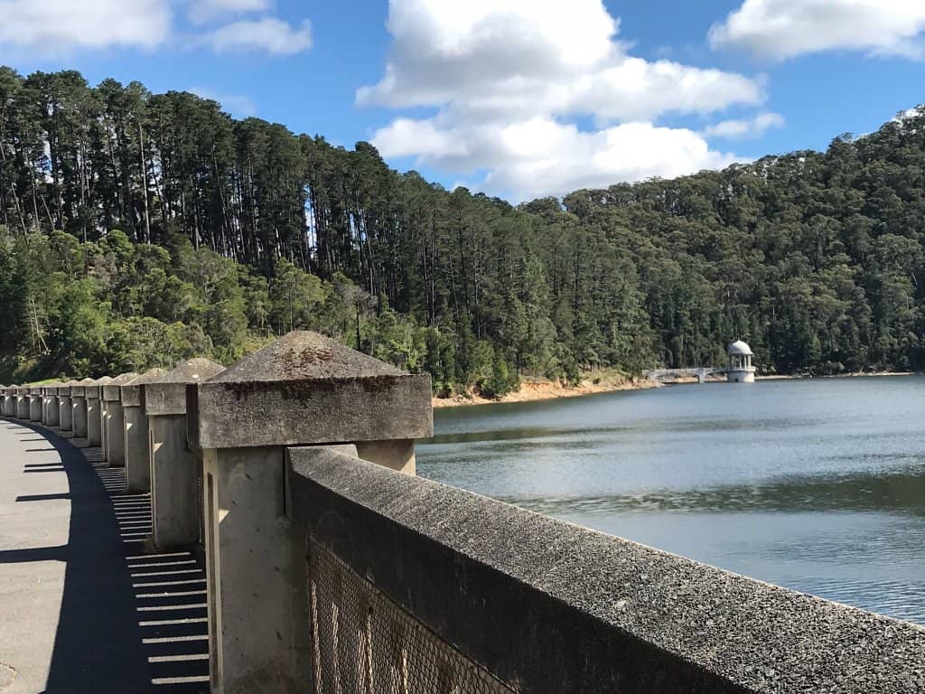 Picnic and Garden Areas