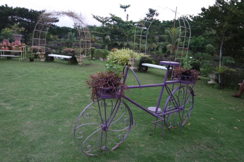 Tranquil Garden Views