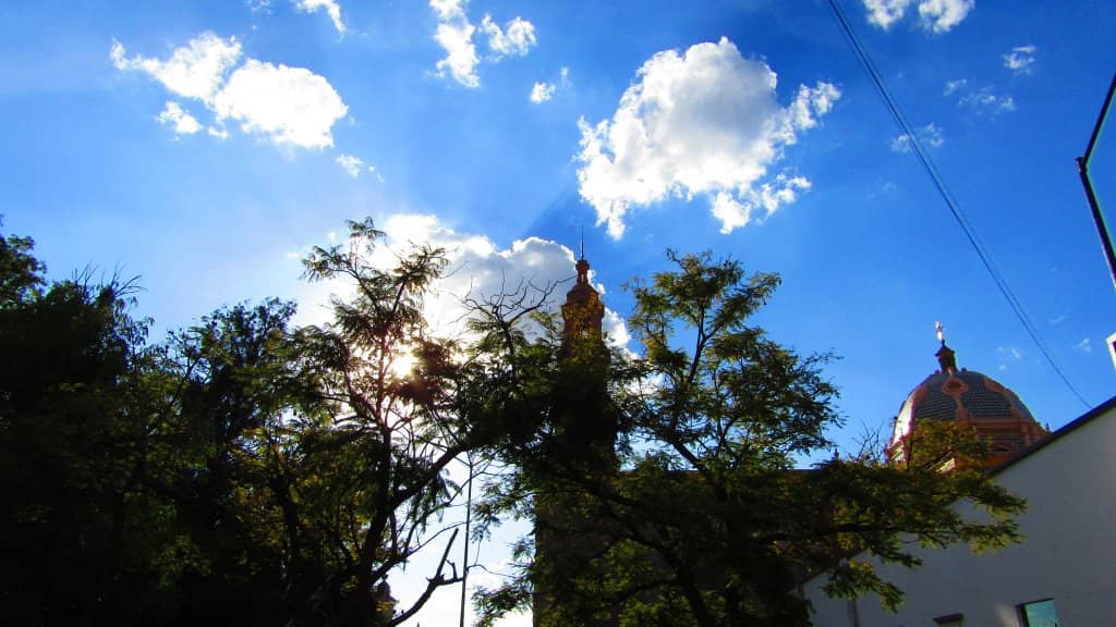 Vertical photo