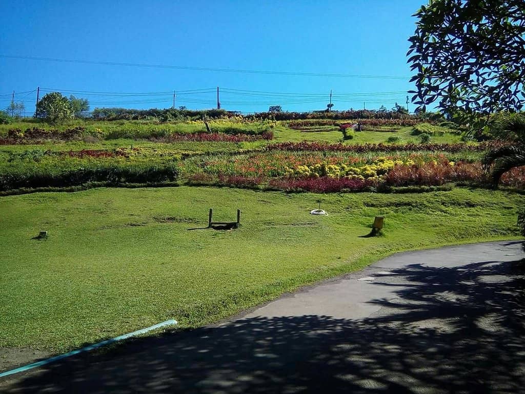 Picnic Areas