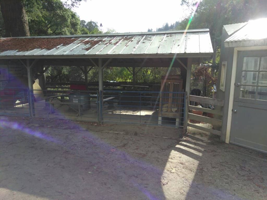 Little Farm