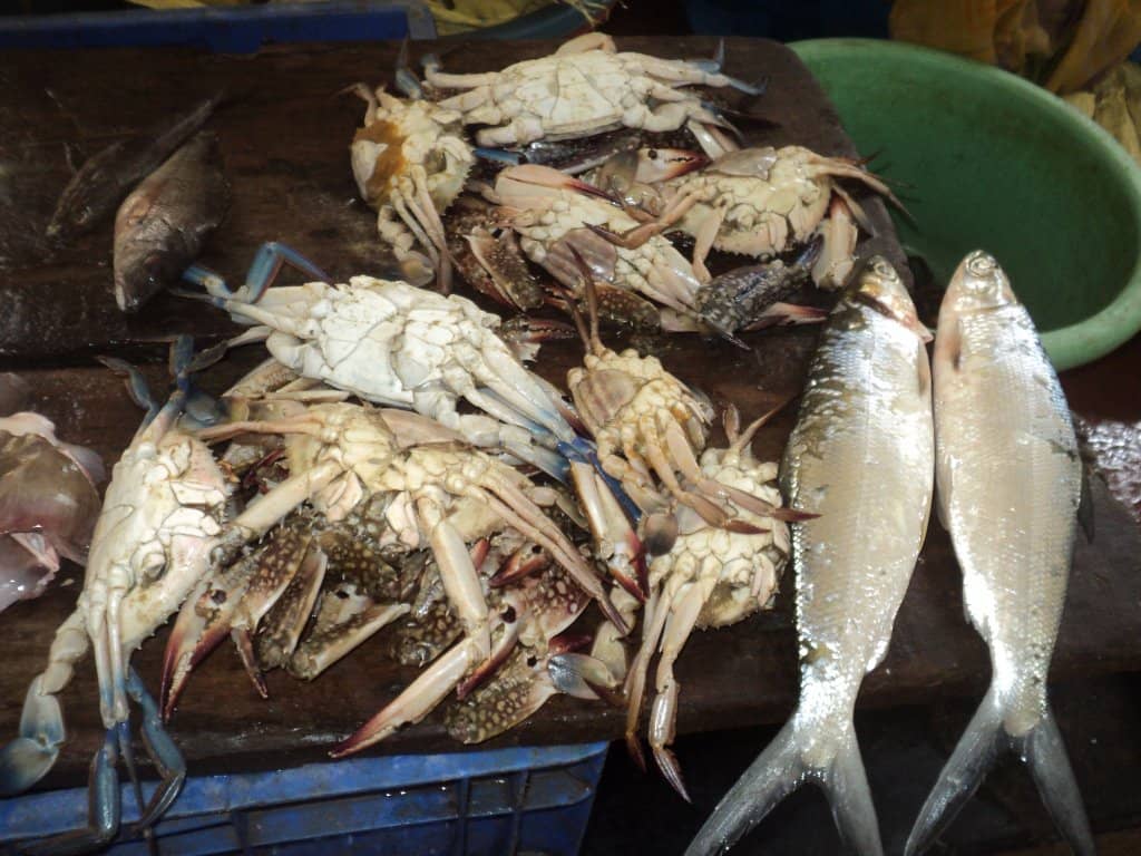Vibrant Produce Stalls