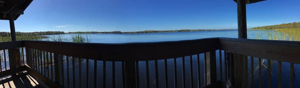 Abundant Wildlife Sightings