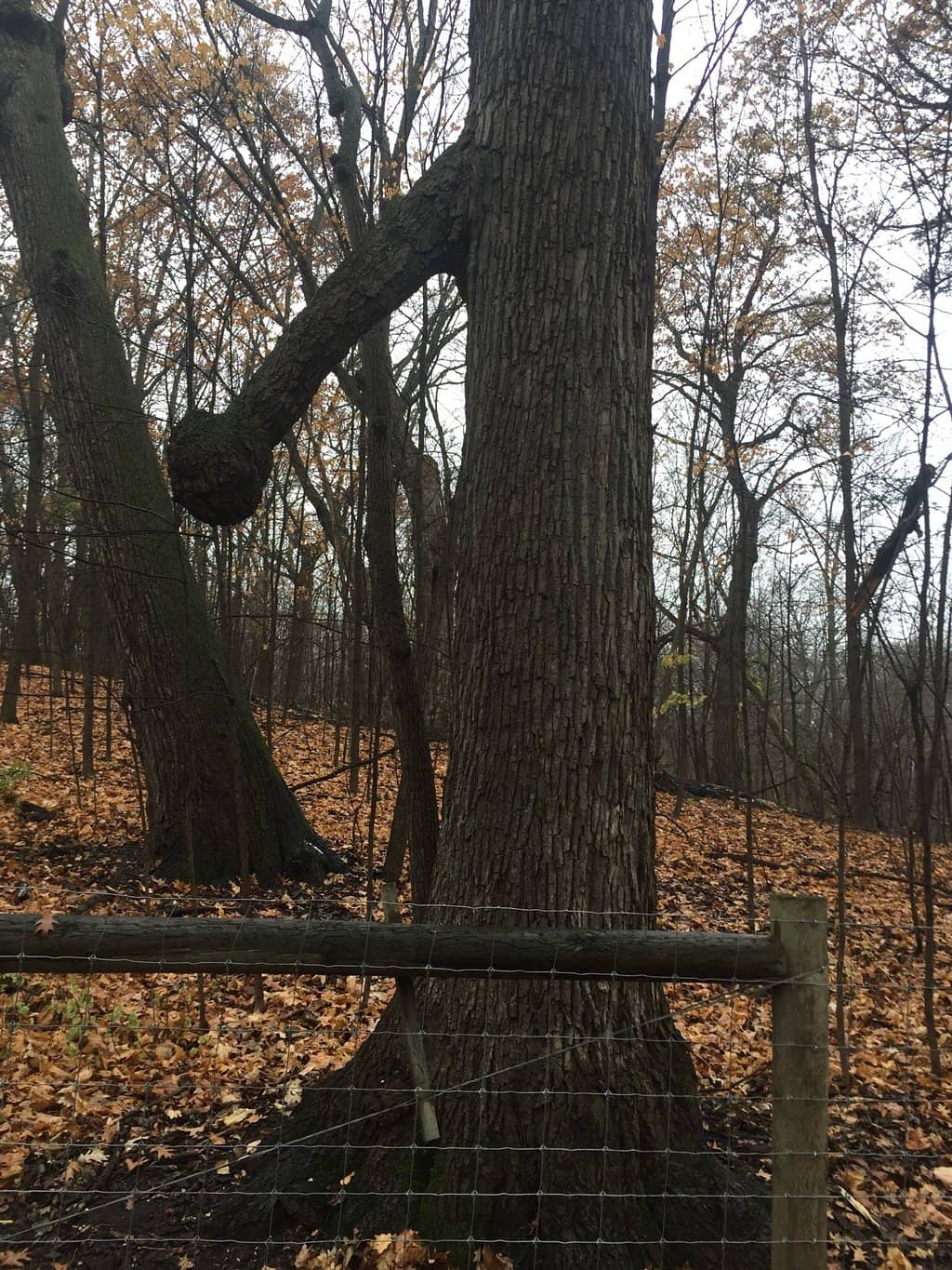 Lake Minnewashta Beach