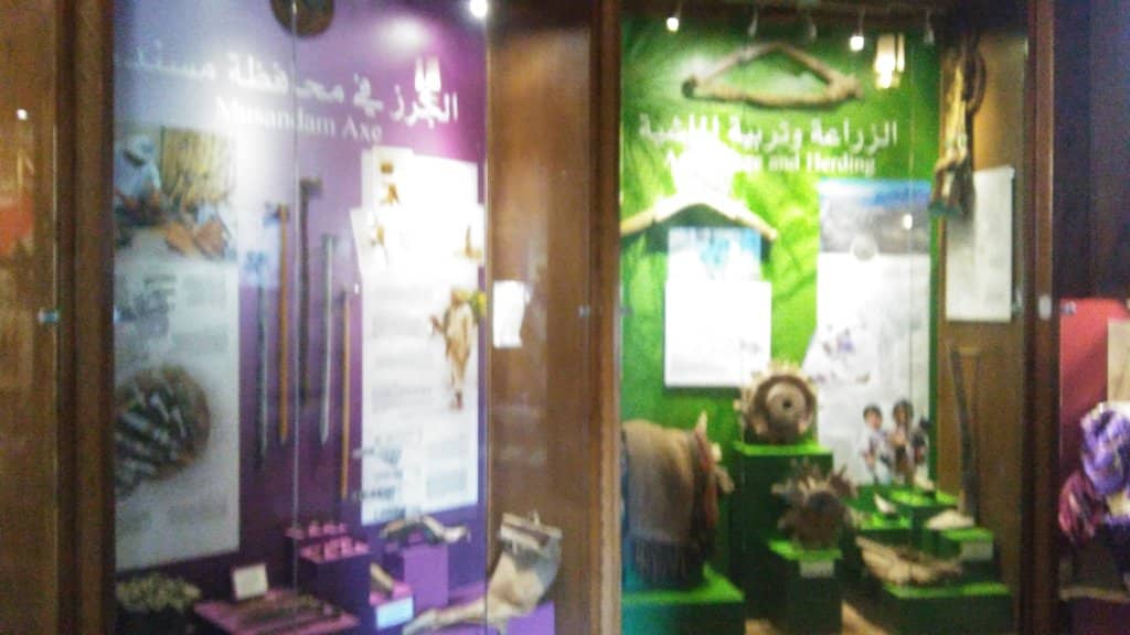 Stunning Mountain Backdrop