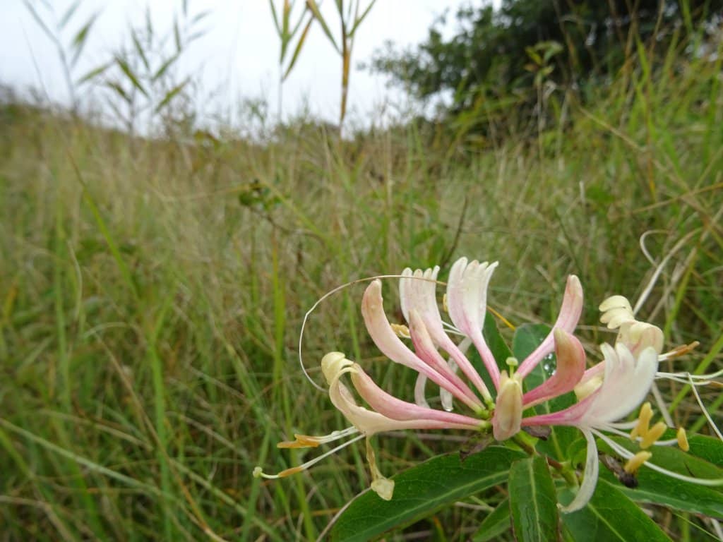 Cycling and Mountain Biking Trails