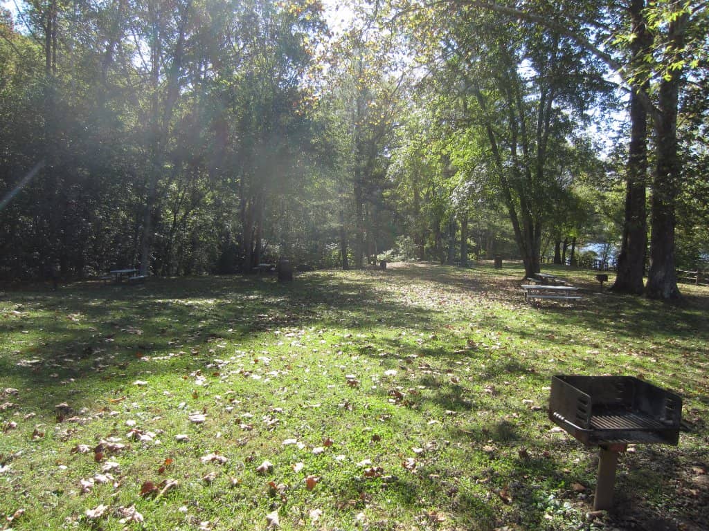 Pedestrian Bridge Overlook