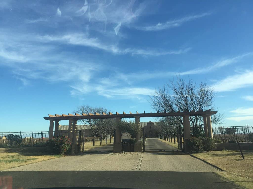 Vibrant Events & Markets