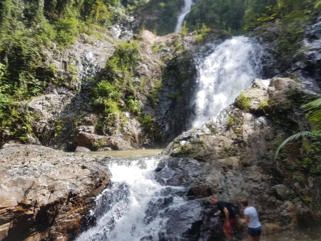 Vertical photo