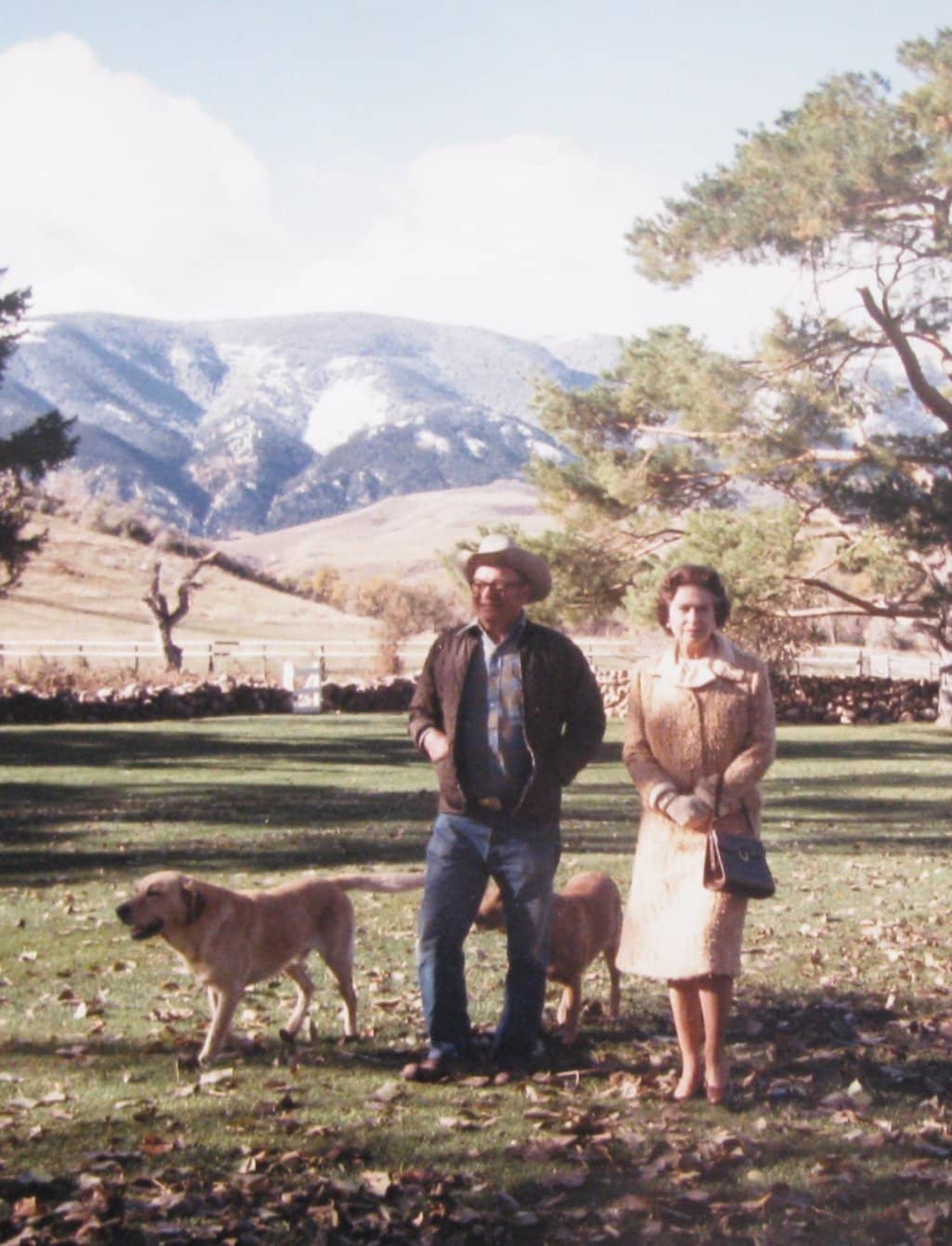 Inspirational Gardens & Greenhouse