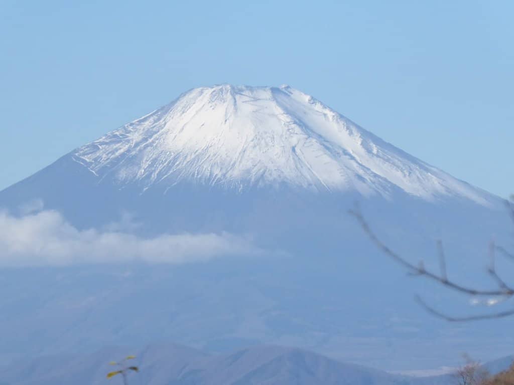 Vertical photo