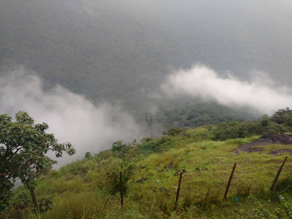 Misty Monsoon Magic