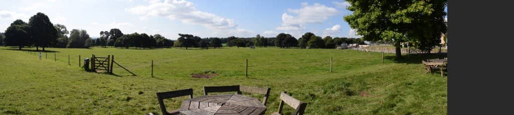 Terraced Cafe Experience