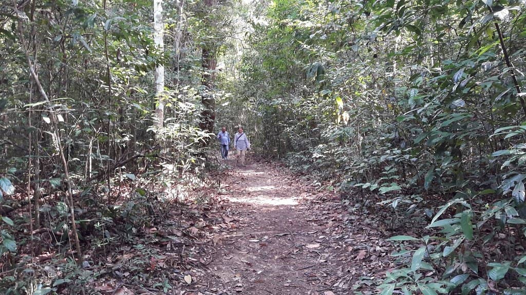 Sunset Town (Grand World)