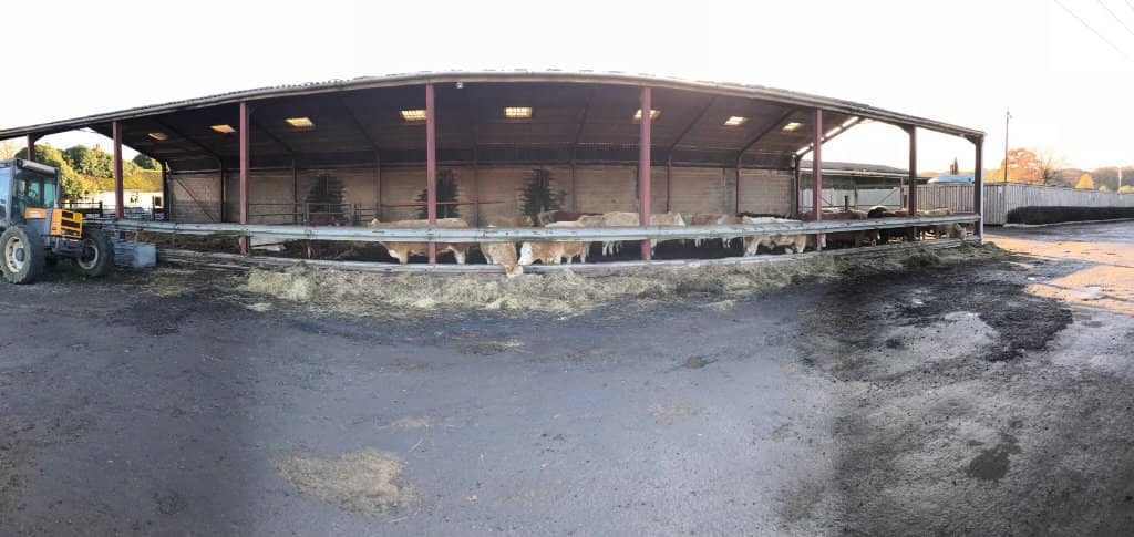 Dog Meadow Exclusive Hire