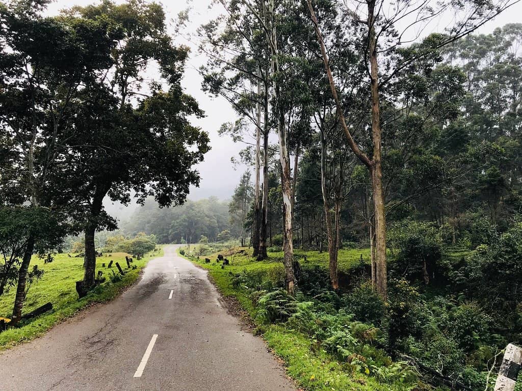 Munnar-Kodaikanal Escape Road Trek