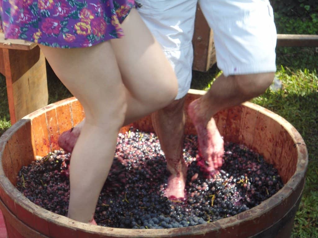 Italian Immigrant Museum