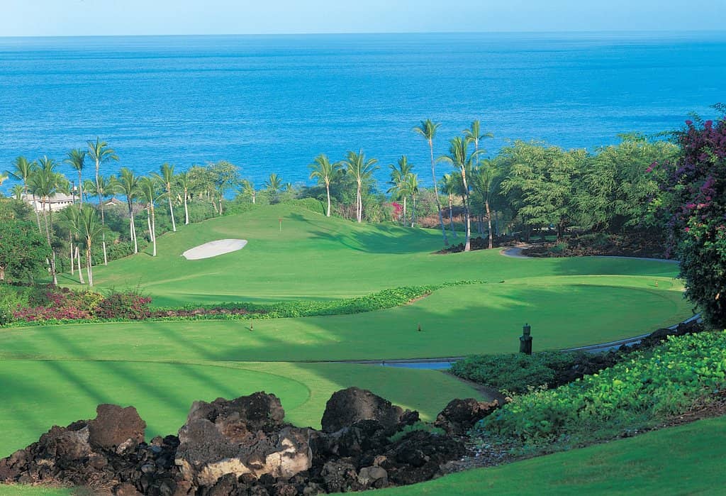 Immaculate Fairways