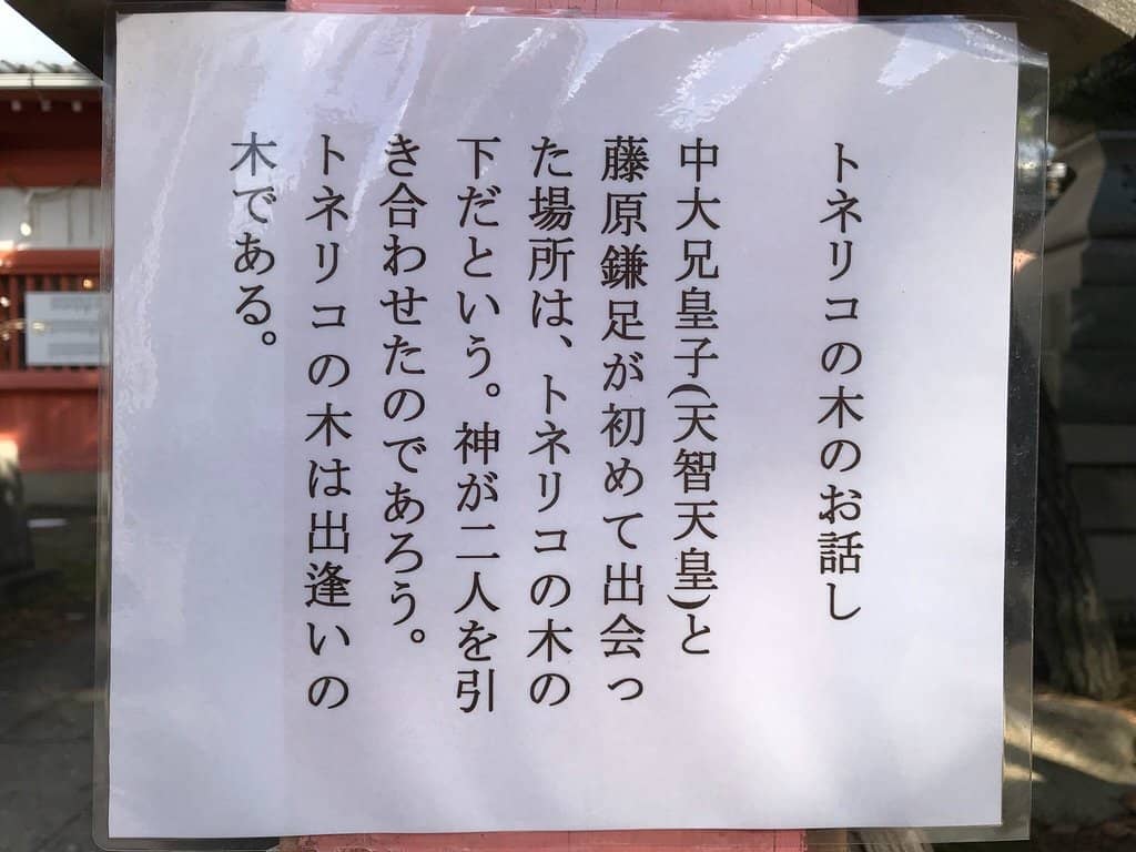 Peaceful Residential Setting