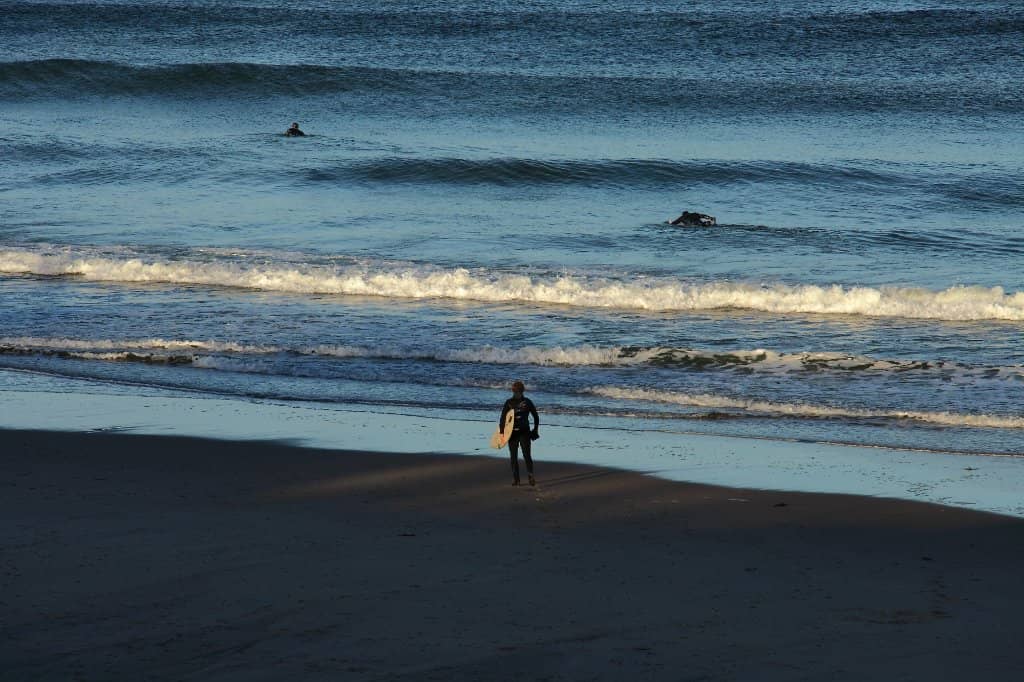 Majestic Dune Walkway