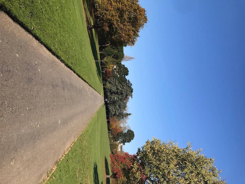 Vertical photo