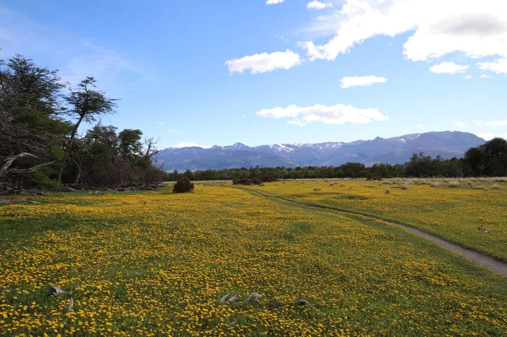 Valle del Azul Views