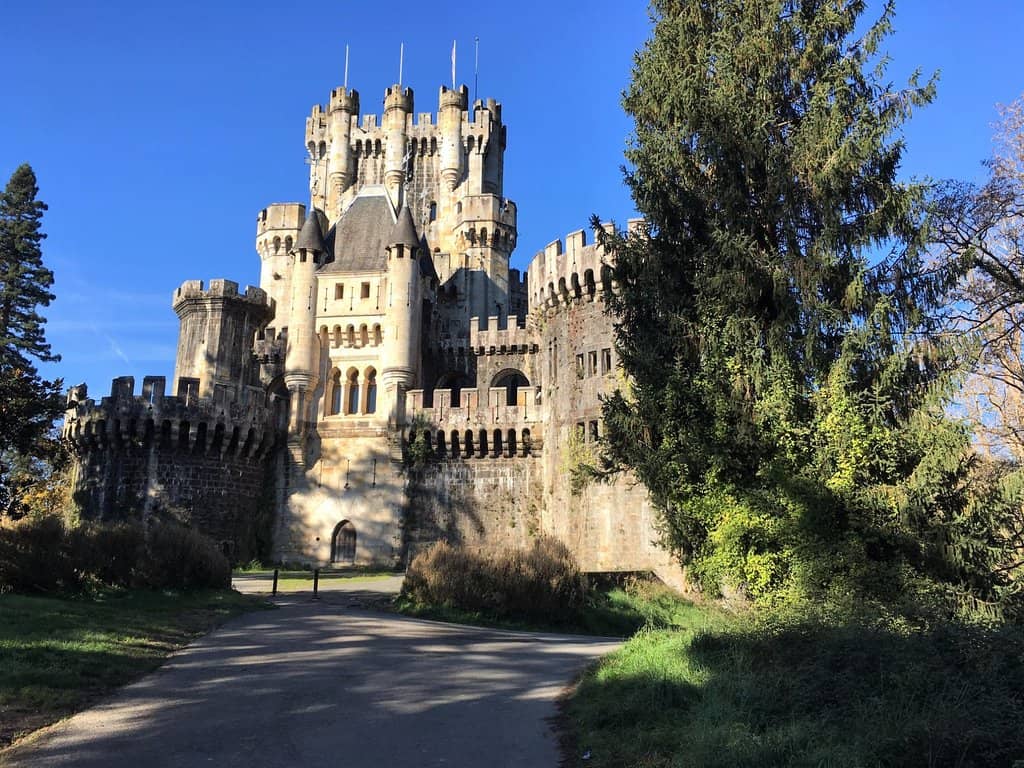 Enchanting Forest Setting