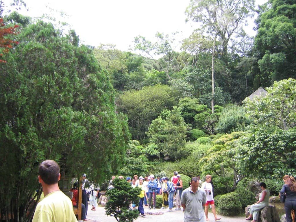 Panoramic City Views