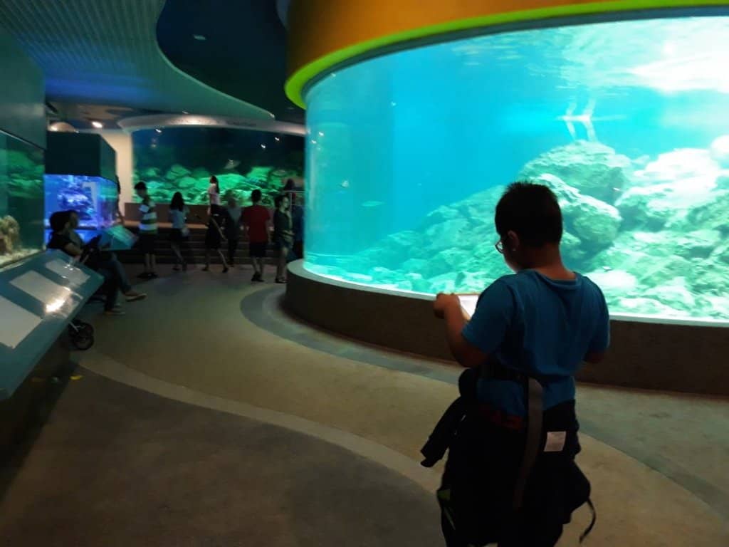 Marine Life Education