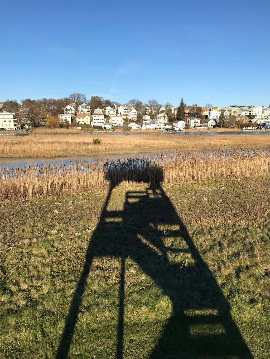 Vertical photo