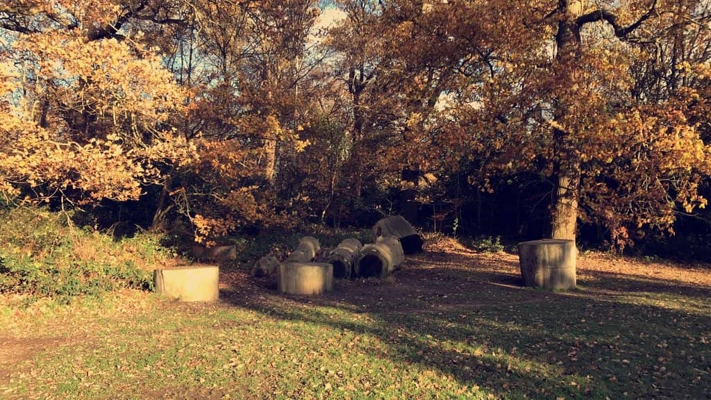 Woodland Walks