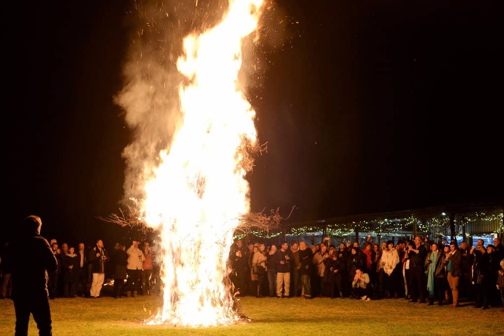 Bonfire Evenings