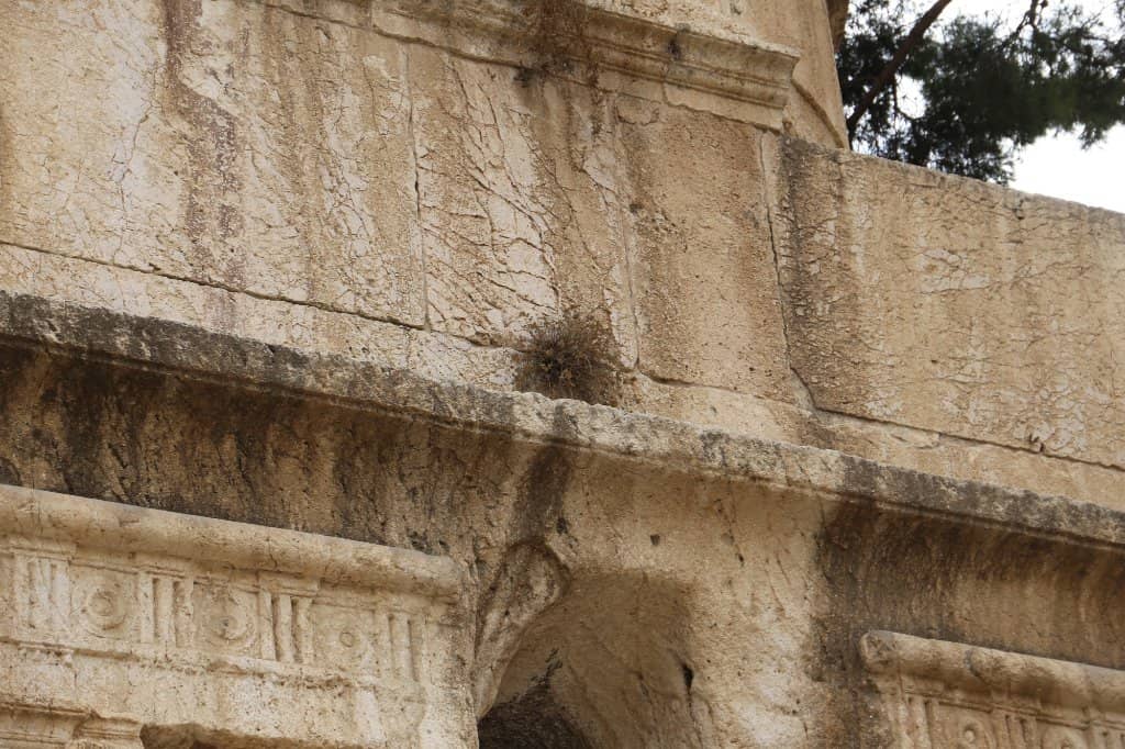 Vertical photo