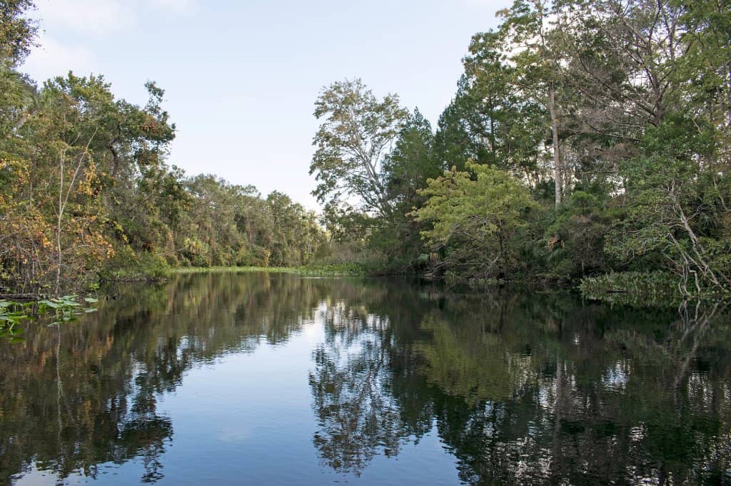 Kayaking & Paddleboarding