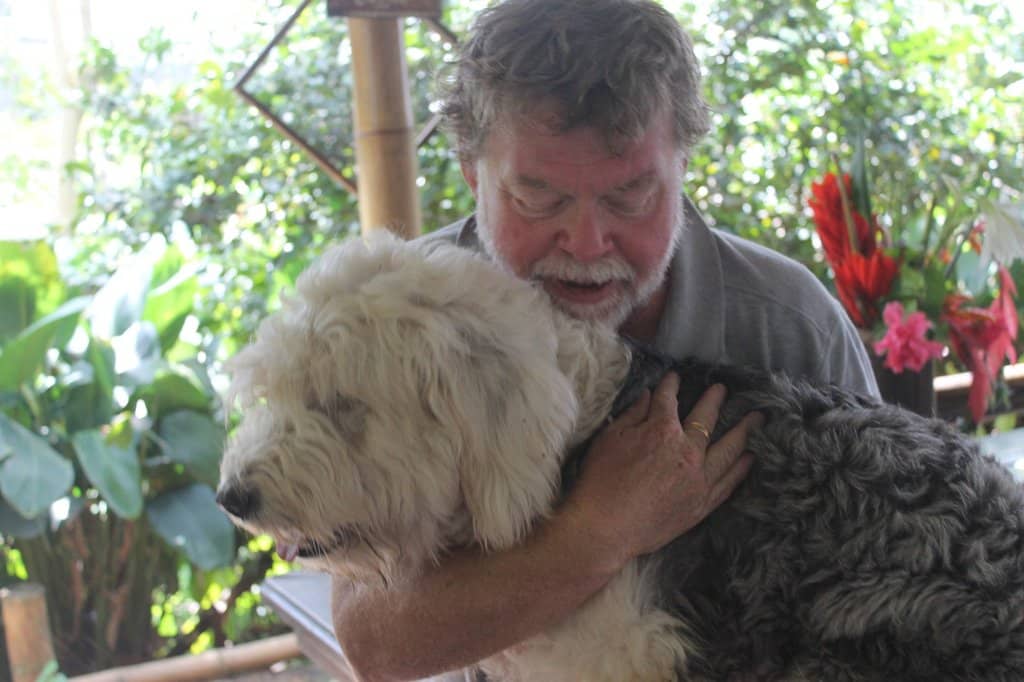 Scenic Plantation Views