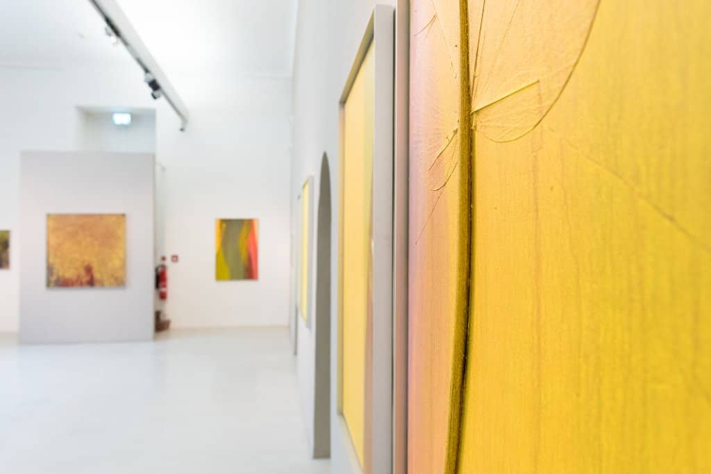 Curated Exhibitions