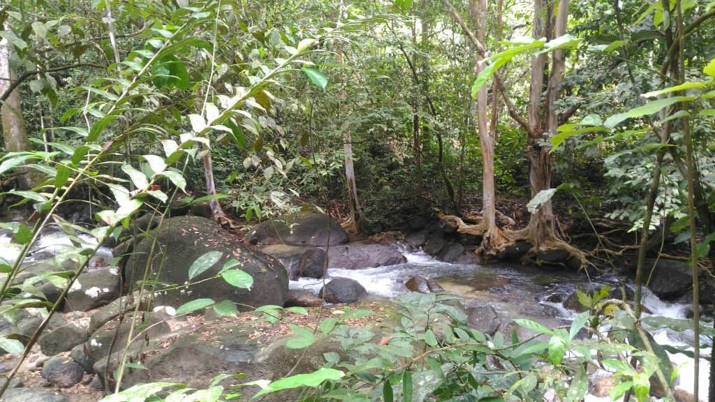 Deep Swimming Areas