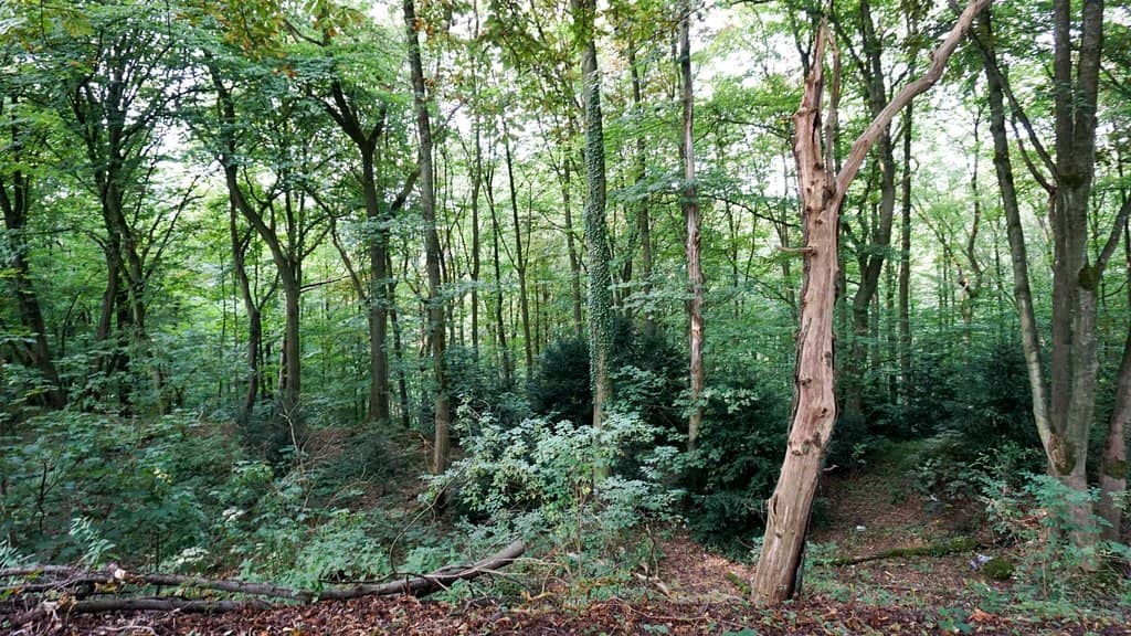 Kaiser Wilhelm Memorial
